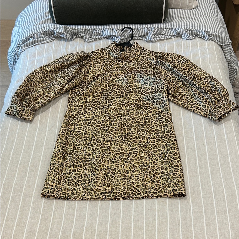 Zara Leopard Print Mini Dress in Brown and Black